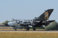 GAF Tornado 45+48