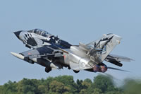 AMI Tornado mm7027