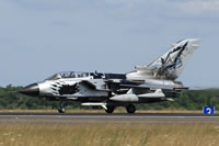 AMI Tornado mm7027