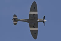 Spitfire