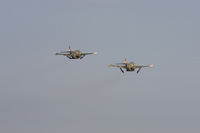 T-2C/E