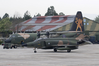 RF-4E 7508 & C-130H 752