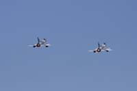 FAF Mirage 2000-5F 102-EL 102-ES
