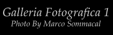 GalleriaMarco