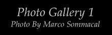 GalleriaMarco